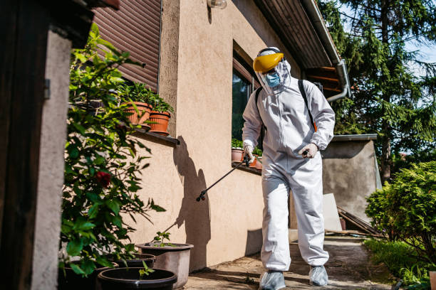 Best Best Pest Control Companies  in Groesbeck, OH