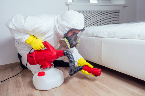 Best Affordable Pest Control Services  in Groesbeck, OH