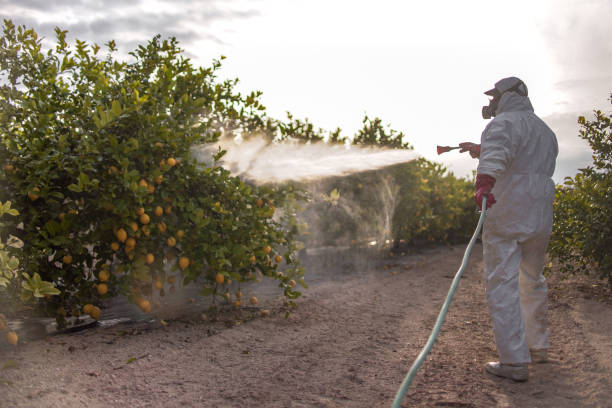Best Pest Control for Businesses  in Groesbeck, OH