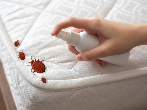 Best Residential Pest Control  in Groesbeck, OH