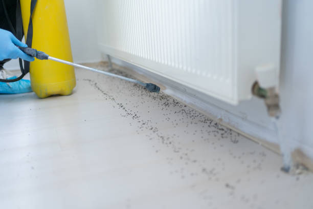 Best Exterminator Services  in Groesbeck, OH