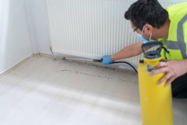 Best Pest Removal Services  in Groesbeck, OH