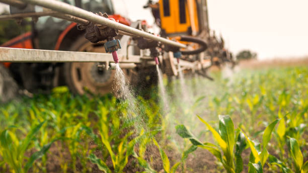 Best Wildlife Control Services  in Groesbeck, OH
